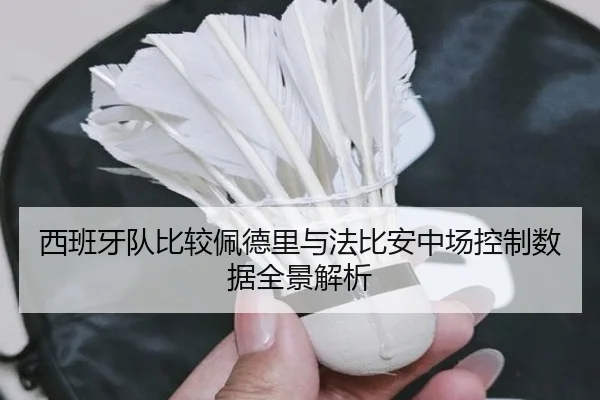 西班牙队比较佩德里与法比安中场控制数据全景解析